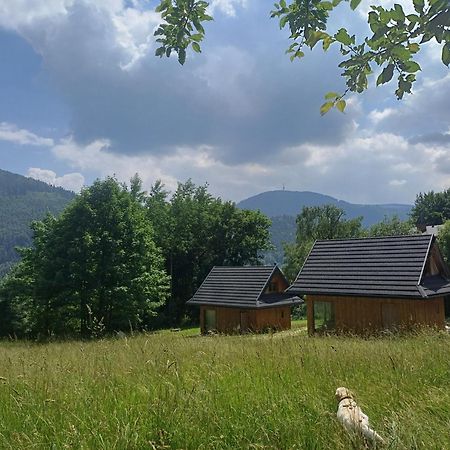 Cichosza Domek W Szczyrku Dış mekan fotoğraf