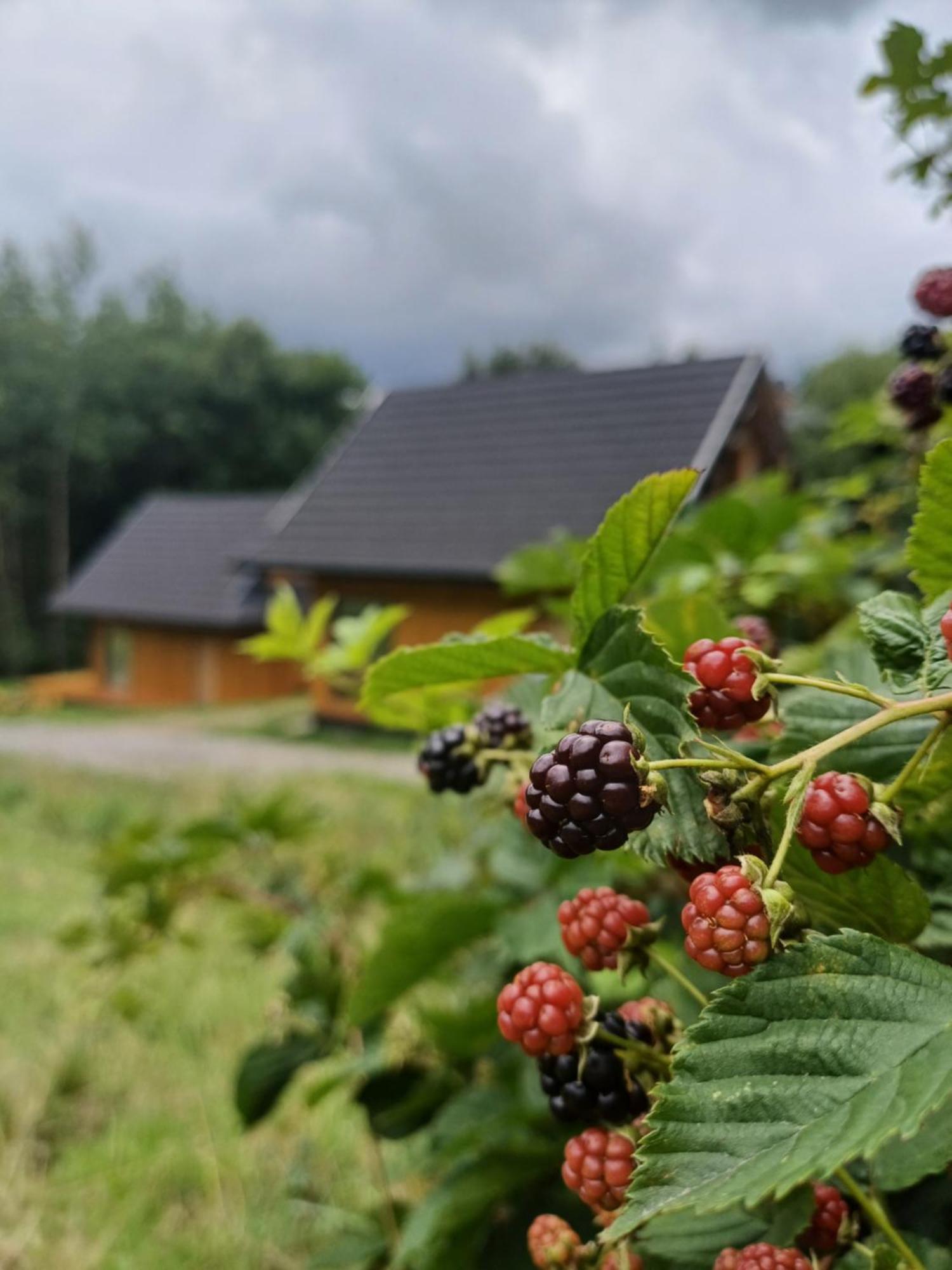 Cichosza Domek W Szczyrku Dış mekan fotoğraf